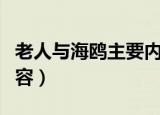 老人与海鸥主要内容概括（老人与海鸥主要内容）
