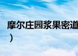 摩尔庄园浆果密道蜘蛛丝（摩尔庄园浆果密道）