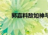 郭嘉料敌如神与高管困境中打开局面