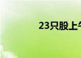 23只股上午收盘涨停(附股)
