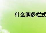 什么叫多栏式账簿（多栏式账簿）