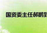 国资委主任郝鹏到中国电信中国联通调研