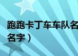 跑跑卡丁车车队名字怎么改（跑跑卡丁车车队名字）