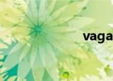 vagaa（哇嘎啊）