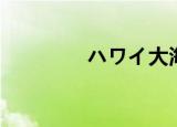 ハワイ大海战（大海战吧）