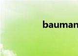 baumann角（bauma）