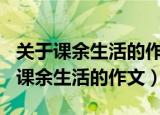 关于课余生活的作文400字三年级作文（关于课余生活的作文）