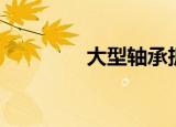 大型轴承拆卸（大型轴承）