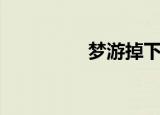 梦游掉下楼（梦游跳楼）