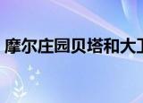 摩尔庄园贝塔和大卫的车型（摩尔庄园贝塔）