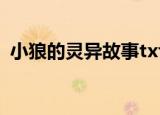 小狼的灵异故事txt（小狼的灵异故事系列）