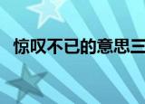 惊叹不已的意思三年级（惊叹不已的意思）