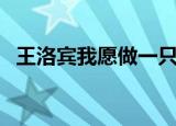 王洛宾我愿做一只小羊（我愿做一只小羊）