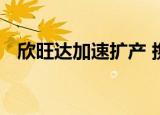 欣旺达加速扩产 携东风集团投资动力电池