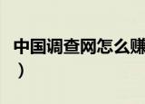 中国调查网怎么赚钱的（中国调查网怎么赚钱）