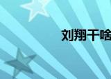 刘翔干啥的（刘翔垃圾）