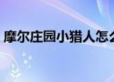 摩尔庄园小猎人怎么抓猪（摩尔庄园小猎人）