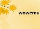 wowemu.cn（wowemu）