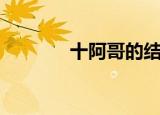 十阿哥的结局（十阿哥结局）