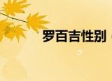 罗百吉性别（罗百吉是男是女）