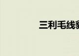 三利毛线貂绒（三利毛线）