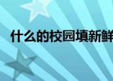 什么的校园填新鲜感的词语（什么的校园）