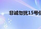非诚勿扰15号伊娜（非诚勿扰 15号）