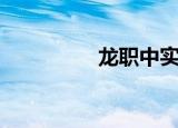 龙职中实训楼（龙职中）