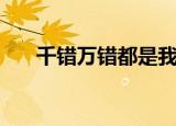千错万错都是我肉条的错（千错万错）