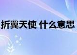 折翼天使 什么意思（折翼的天使是什么意思）