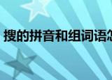 搜的拼音和组词语怎么写（搜的拼音和组词）