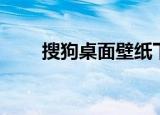 搜狗桌面壁纸下载（搜狗桌面壁纸）