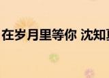 在岁月里等你 沈知夏季凉川（在岁月里等你）