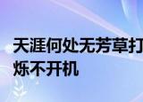 天涯何处无芳草打一成语电脑主机后面黄灯闪烁不开机