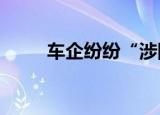 车企纷纷“涉险” 险企何以应对？