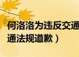 何洛洛为违反交通法规道歉（何洛洛为违反交通法规道歉）