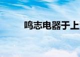鸣志电器于上海成立实业发展公司