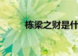 栋梁之财是什么生肖（栋梁之财）