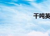 干吨英文（干吨度）