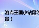 洛克王国小钻鼠怎么得2021（洛克王国小钻鼠）