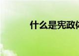什么是宪政体制（什么是宪政）
