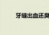 牙缝出血还臭咋回事（牙缝出血）