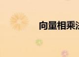 向量相乘法则（向量相乘）