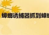 蟑螂诱捕器抓到蟑螂之后跑了（蟑螂诱捕器）