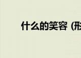 什么的笑容 (形容词)（什么的笑容）