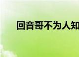 回音哥不为人知（回音哥差不多先生）