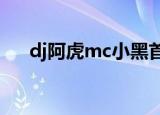 dj阿虎mc小黑首张音乐大碟（dj阿虎）