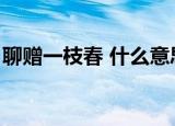 聊赠一枝春 什么意思（聊赠一枝春真正意思）