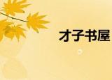 才子书屋 niao（才子阁）