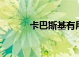 卡巴斯基有用吗（卡巴斯基吧）